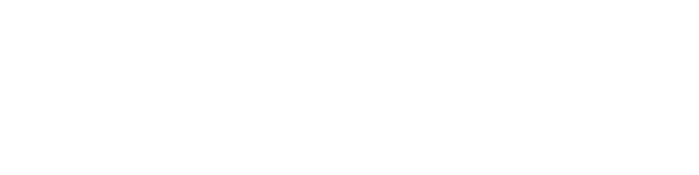 Viaje